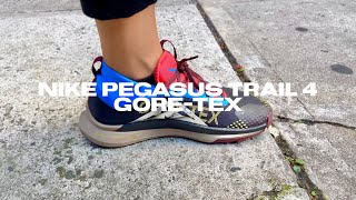 Nike Pegasus Trail 4 GORETEX [upl. by Yeca]