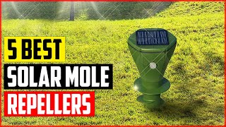 Top 5 Best Solar Mole Repellers Reviews in 2023 [upl. by Ahsenauq]