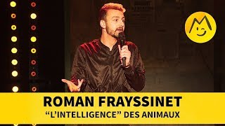 Roman Frayssinet  quotLintelligencequot des animaux [upl. by Rundgren590]