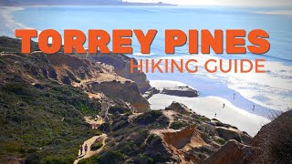 Torrey Pines Hiking Guide [upl. by Icats]