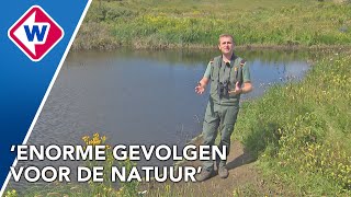 Duinen zijn nog nooit zo groen geweest [upl. by Melvin]