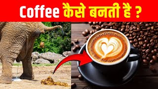 फैक्ट्री में coffee powder कैसे बनाया जाता हैं  Coffee making Process in Hindi [upl. by Phipps647]