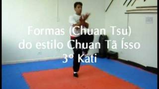 MESTRE GOMES NETO Martial Arts [upl. by Adnolohs]