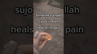 Sometime a single sujood shortsfeed ytshortsvideo trendingshorts shortvideo love [upl. by Ahsitil823]