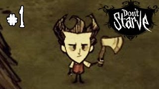 Dont Starve Прохождение 1  Начало выживания [upl. by Aggappe]