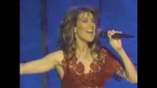 Celine Dion  A New Day Has Come [upl. by Hsakiv]