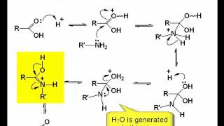 Chemistry Vignettes Amide synthesis under acidic conditions [upl. by Anawait]