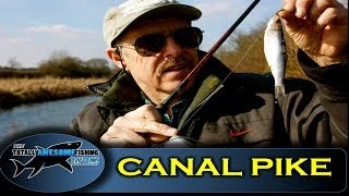 Canal fishing tips for Pike  The Totally Awesome Fishing Show [upl. by Neeka]