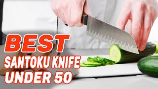 Best Santoku Knife Under 50 in 2022 – Latest Products Reviewed [upl. by Llabmik]