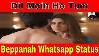 Aditya And Zoya Whatsapp Status  Dil Mein Ho Tum  Bepannah   Seria  Jennifer [upl. by Anirrehs]