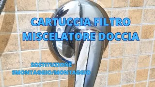 Cartuccia filtro miscelatore docciasostituzione SmontaggioMontaggio [upl. by Ian]