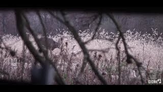 Keys to Proper Doe Management  Deer amp Deer Hunting TV [upl. by Nikos]