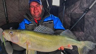 Greenback Walleyes on Winnipeg [upl. by Emiolhs]