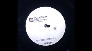 BLACKWATER  OCTAVE ONE feat ANN SAUNDERSON [upl. by Korney]