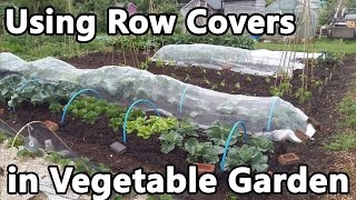 Using Row Covers in Vegetable Garden  fleece enviromesh veggiemesh insect and bird netting [upl. by Tnirb]