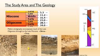 Martin  Biostratigraphy and palaeoenvironment of the Maltese Archipelago [upl. by Yrohcaz]