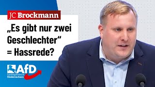 Gesetz macht Wahrheit zu „Hassrede“ – JensChristoph Brockmann AfD [upl. by Eldredge]