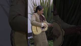 Violin Huapango Short  Mariachi Femenil Innovación Mexicana [upl. by Ontine]