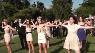 flashmob mariage [upl. by Hultgren]