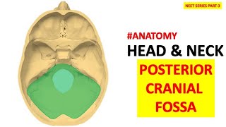 HUMAN ANATOMYNEET SERIES PART3 POSTERIOR CRANIAL FOSSA FORAMEN HEAD amp NECK dentalcafe4331 [upl. by Airbmak905]