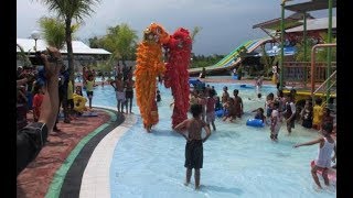 barongsai  atraksi barongsai lucu di kolam renang anak [upl. by Gleason]