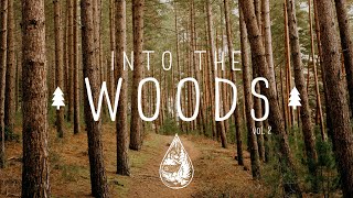 Into The Woods 🌲  A Mysterious IndieFolkPop Playlist  Vol 2 [upl. by Alic]