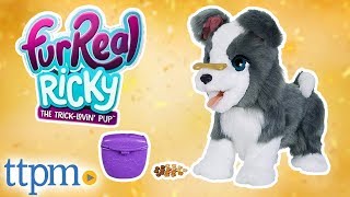 FurReal Ricky the TrickLovin Pup REVIEW  Hasbro Toys amp Games [upl. by Blynn]