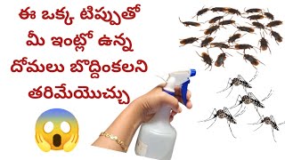 బొద్దింకలు దోమలు పోవడానికి చిట్కాలుtips and trickstipsLasyap200 [upl. by Chiquita]