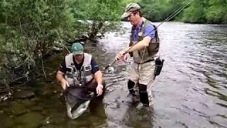 26 06 2018 SALMON EN LA LLONGA RIO NARCEA CAPTURA Y SUELTA [upl. by Carlyle]