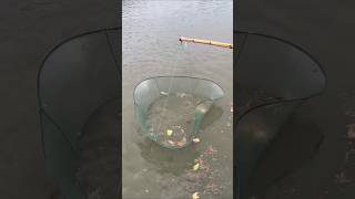 অসাধারণ মাছ ধরার কায়দা 🐟 Fishing Style  fishing ytshorts viralvideo talent AGGACHOKRO [upl. by Ynhoj]