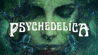 Psychedelics and Consciousness [upl. by Yajiv]