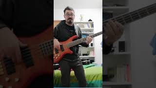 Vieni qui Vasco Rossi bass cover [upl. by Moira]