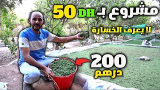 مشروع مربح يبدأ بـ 50 درهم و تصل ارباحه الى 1000 درهم 🤑 مشروع مربح براس مال صغير  مشروع الأزولا [upl. by Dewain]