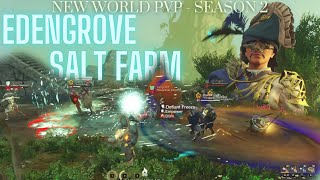 New World PvP  Season 2  Azoth Salt Farming  Rapier Hybrid  Open World  1vX  Small Scale [upl. by Mchale]