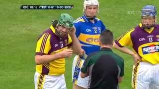 Declan Fanning vs Stephen Banville Helmet Pulling Hurling Fight [upl. by Kelcy]