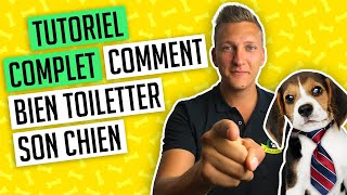 Toilettage chien  les conseils et solutions dun toiletteur [upl. by Maxma]