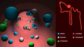 Proton NMR Organic Spectroscopy Part1 Chemical Shift Reference standard Spectroscopy in Hindi [upl. by Releyks]