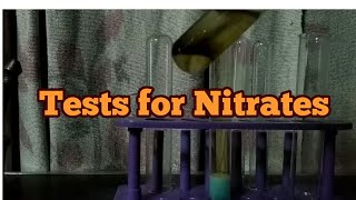 Test for Nitrate ions [upl. by Orfurd470]