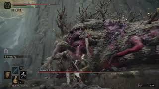 Mt Gelmir Ulcerated Tree Spirit forgets my existence mid fight [upl. by Itsirhc]