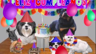 ♫♫♥ Dedicatoria de cumpleaños Video chistoso video gracioso ♥♫ [upl. by Na994]