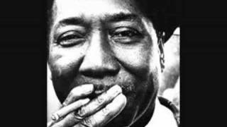 muddy waters  mississippi delta blues [upl. by Arfihs]