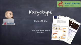 Karyotype [upl. by Sorvats]