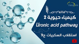 🕵️‍♂️كيمياء حيوية 2  استقلاب السكريات  وماذا عن Uronic Acid pathway  🙋‍♂️ [upl. by Alisha]