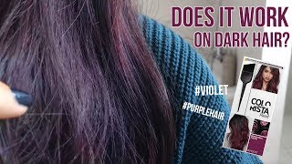 Loreal Colorista Paint Violet on Dark Hair  1 Week Update  TRY OR FRY [upl. by Jake509]