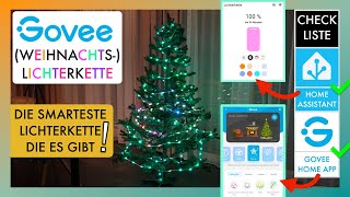 Govee WeihnachtsLichterkette Review  Anleitung für die Govee Home App amp Home Assistant [upl. by Glogau]