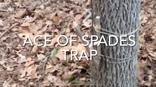 HOW TO BUILD A DEADFALL TRAP bushcraft goingwild survival fieldcraft selfreliance trap [upl. by Jamila13]