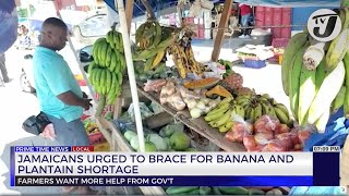 Jamaicans Urged to Brace for Banana amp Plantain Shortage  TVJ News [upl. by Warner]