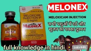 Melonex injection Meloxicam Maloxicam injection how to use Melonex in Animals Manjhi Veterinary [upl. by Stralka]