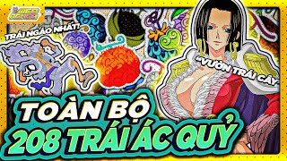 ONE PIECE  TỔNG HƠN TOÀN BỘ HƠN 200 TRÁI ÁC QUỶ [upl. by Zebe]