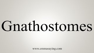 How To Say Gnathostomes [upl. by Eive]